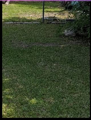 After lawn care